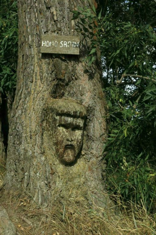 Sculpture sur arbre à l'écluse de l'Aiguille